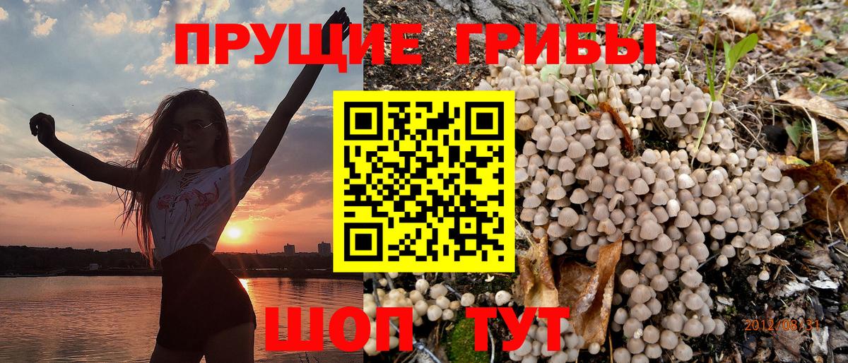 Псилоцибиновые грибы мухоморы  Вход с VPN  купить закладку  Азнакаево 