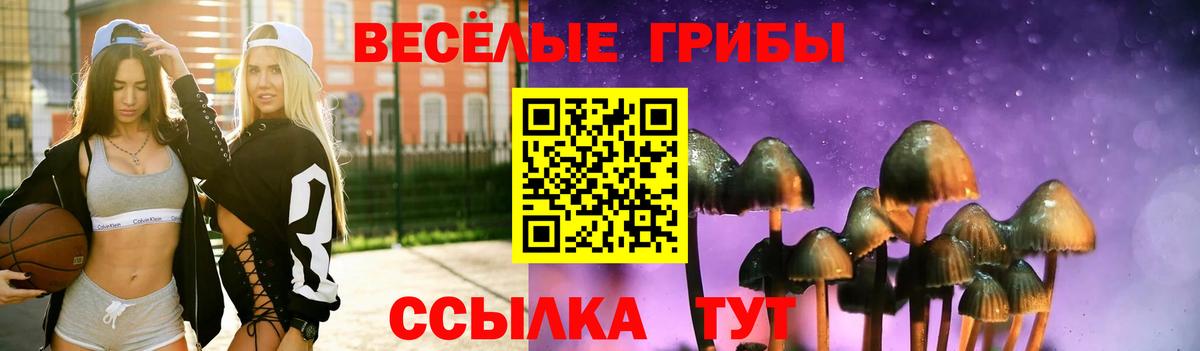 Галлюциногенные грибы ЛСД Азнакаево